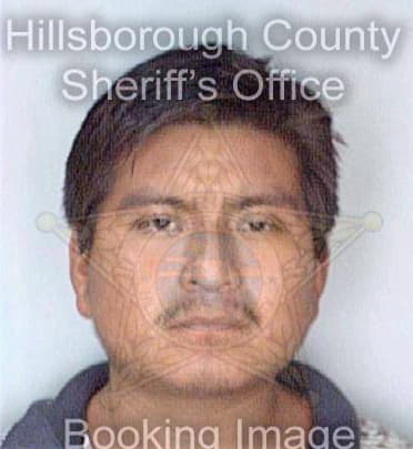 Hernandezplacido Moises - Hillsborough County, FL 