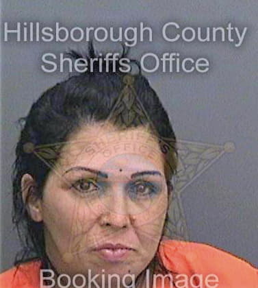 Gonzalez Arauka - Hillsborough County, FL 