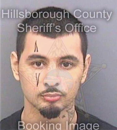 Seanz Victor - Hillsborough County, FL 