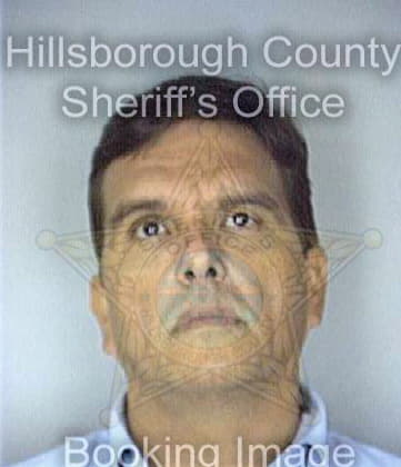 Sretenovic George - Hillsborough County, FL 