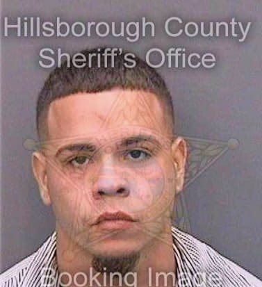 Martinez Raymond - Hillsborough County, FL 