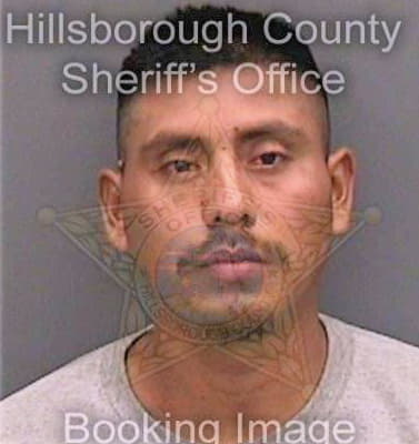 Perezvelazquez Fredi - Hillsborough County, FL 