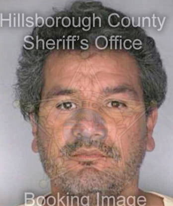 Silva Martin - Hillsborough County, FL 