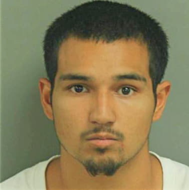 Sanchez Pedro - Wake County, NC 