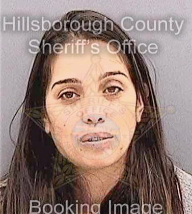 Mclean Linda - Hillsborough County, FL 