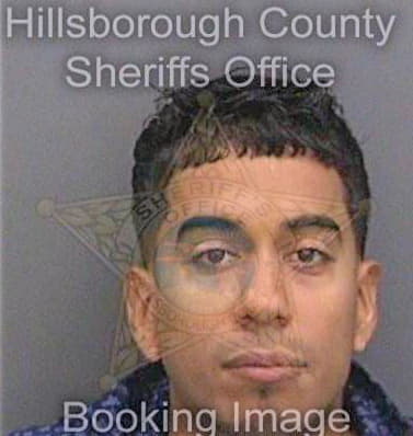 Serrano Sergio - Hillsborough County, FL 