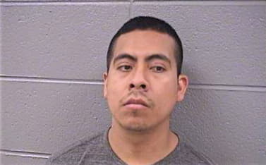 Gonzalez Octavio - Cook County, IL 