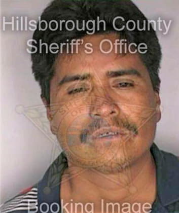 Gallego Abel - Hillsborough County, FL 