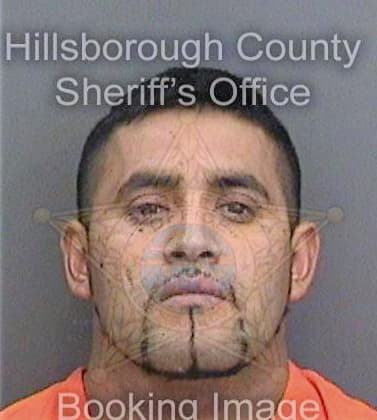 Diaz Jorge - Hillsborough County, FL 