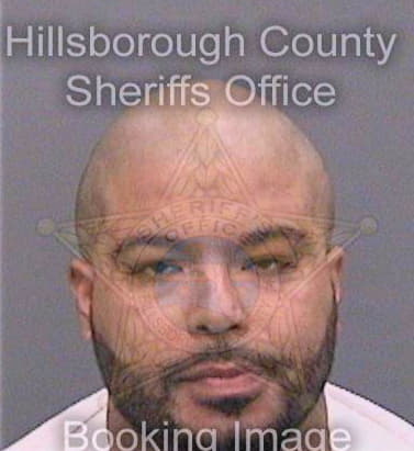 Taveras Hector - Hillsborough County, FL 