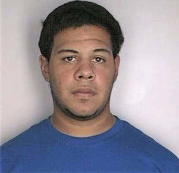 Ramirez Christopher - Hillsborough County, FL 