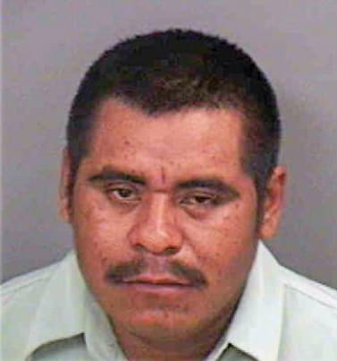 Hernandez Fernando - Collier County, FL 