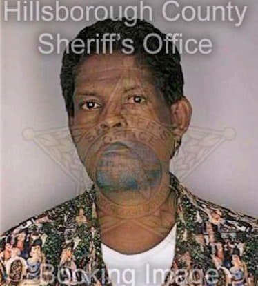 Medina Irving - Hillsborough County, FL 