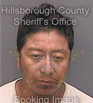 Vasquez Esteban - Hillsborough County, FL 