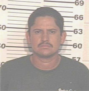 Manzano Isidro - Hidalgo County, TX 