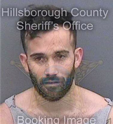 Tomasullo Matthew - Hillsborough County, FL 