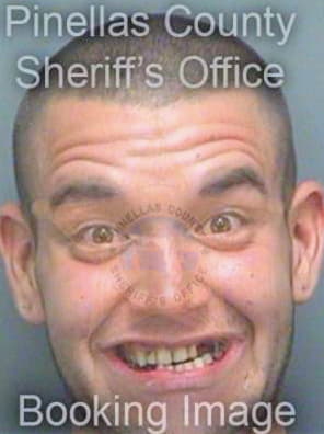 Olivier William - Pinellas County, FL 