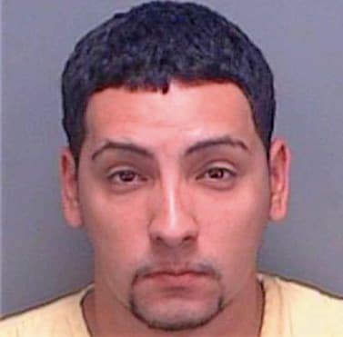 Dejesus Carmelo - Pinellas County, FL 