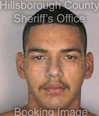 Trevino Samuel - Hillsborough County, FL 