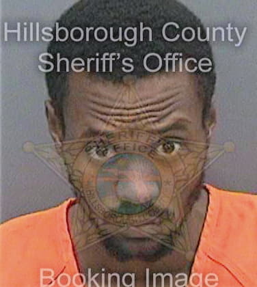 Hollinger Gregory - Hillsborough County, FL 