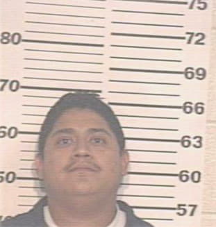 Ramirez Mario - Hidalgo County, TX 