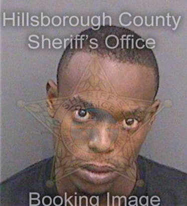 Mitchell Terrence - Hillsborough County, FL 