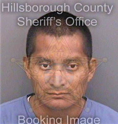 Mendezhernandez Manuel - Hillsborough County, FL 
