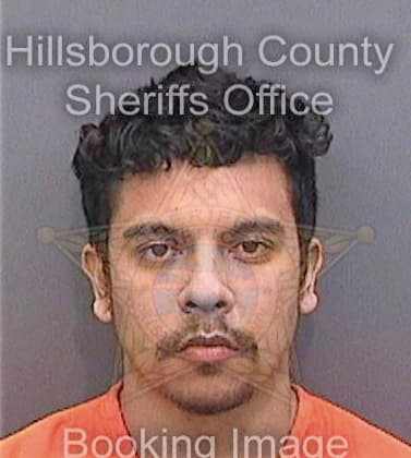 Degraw Sean - Hillsborough County, FL 