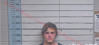 Lewis Andrew - Desoto County, MS 