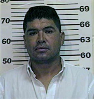 Romero Gerardo - Henderson County, TX 