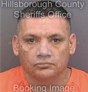 Gaona Jose - Hillsborough County, FL 