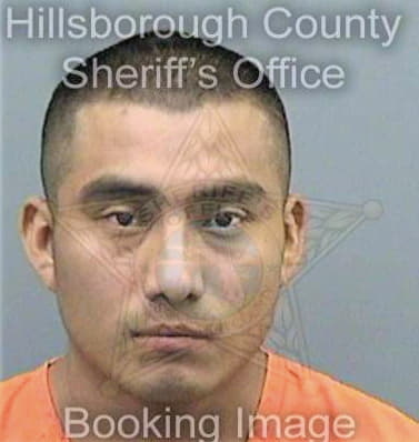 Lopez Mariano - Hillsborough County, FL 