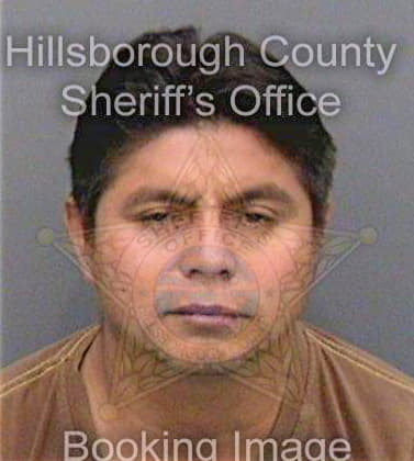 Cambranolopez Preciliano - Hillsborough County, FL 