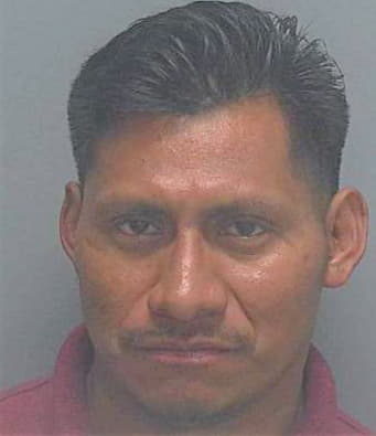 Juan--Pedro Tomas - Lee County, FL 