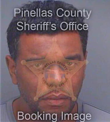 Garcia Carlos - Pinellas County, FL 