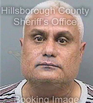 Vega Fermin - Hillsborough County, FL 