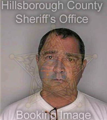 Medina Gabriel - Hillsborough County, FL 