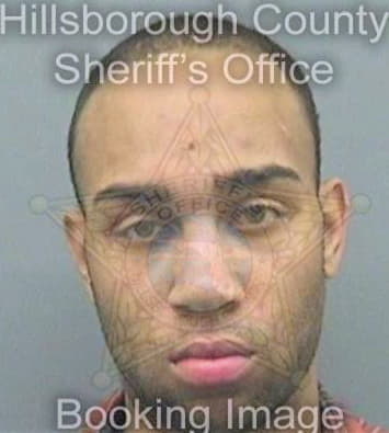 Martin Joshua - Hillsborough County, FL 