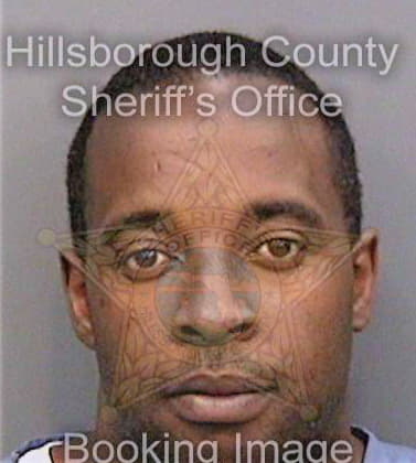 Riggins Demetris - Hillsborough County, FL 