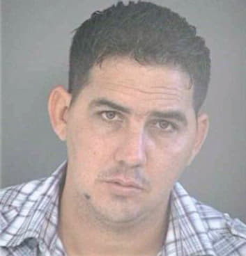 Silva Noel - Hillsborough County, FL 