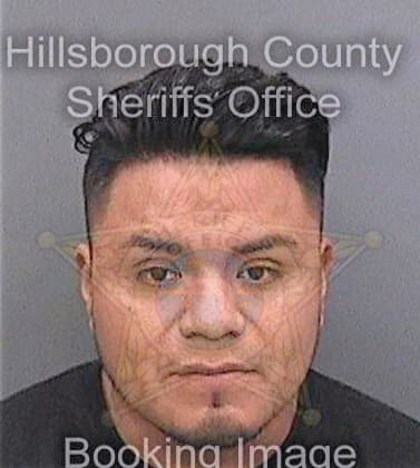 Castrolazaro Miguel - Hillsborough County, FL 