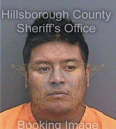 Santiagocortes Luis - Hillsborough County, FL 