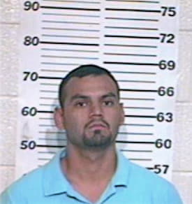 Hernandez Luis - Hidalgo County, TX 