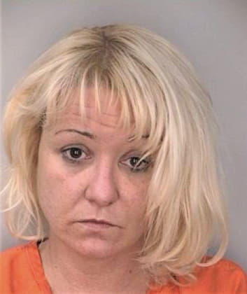 Silver Vicki - Hillsborough County, FL 