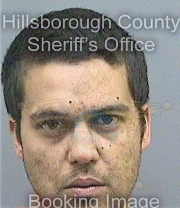 Boyer David - Hillsborough County, FL 