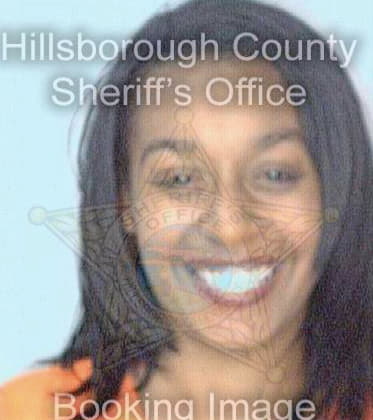 Ferguson Tameka - Hillsborough County, FL 