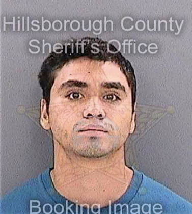 Penaruggio Daniel - Hillsborough County, FL 