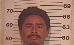 Hernandez Rigoberto - Hidalgo County, TX 