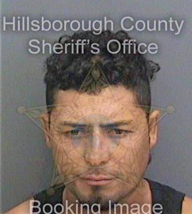 Martinezarriba Saul - Hillsborough County, FL 