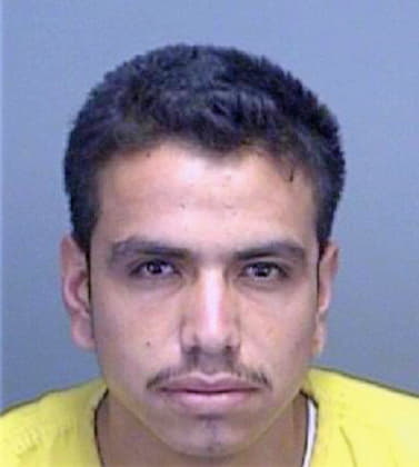 Granados Vicente - Pinellas County, FL 